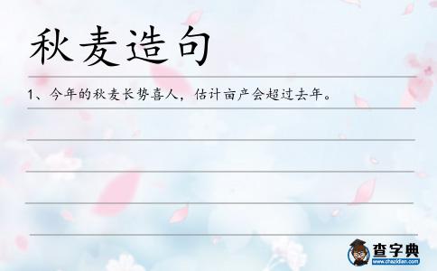 秋麥造句