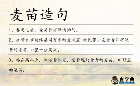 麥苗造句