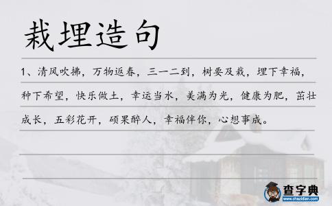 栽埋造句