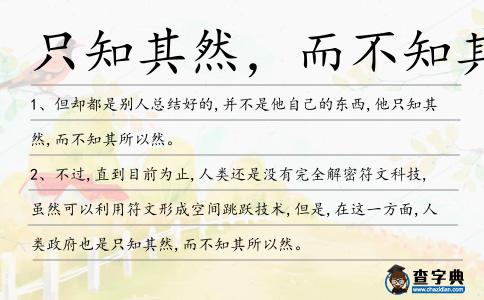 只知其然,而不知其所以然造句