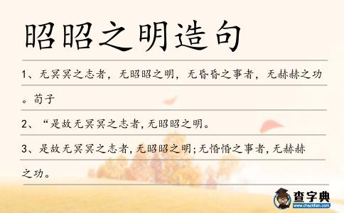 昭昭之明造句