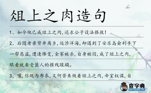 俎上之肉造句