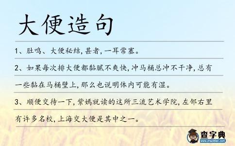 大便造句