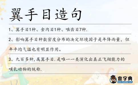 翼手目造句