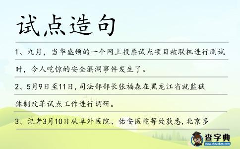 試點造句