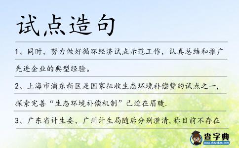 試點造句