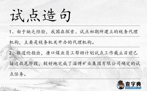 試點造句