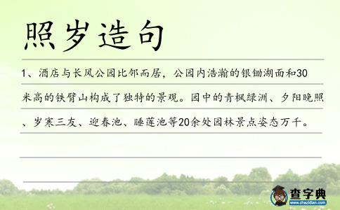 照歲造句