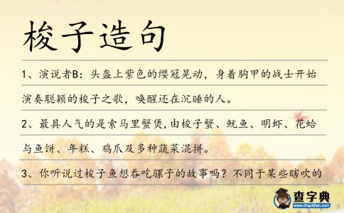 梭子造句