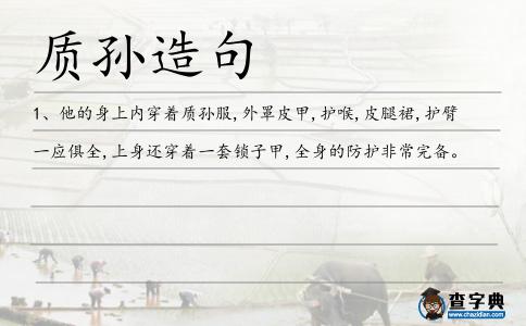 質(zhì)孫造句