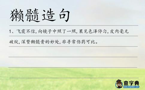 獺髓造句