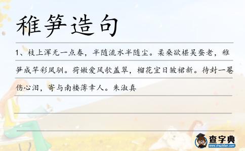 稚筍造句