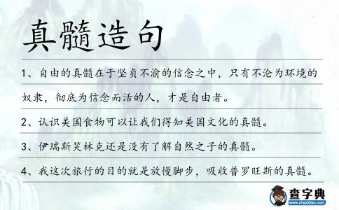 真髓造句