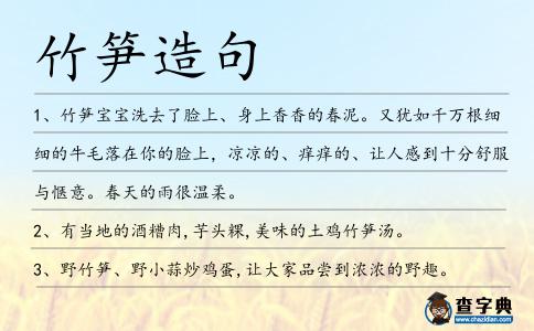 竹筍造句