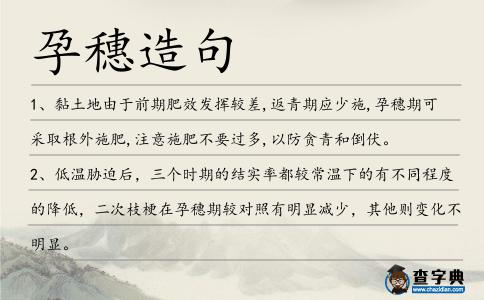 孕穗造句