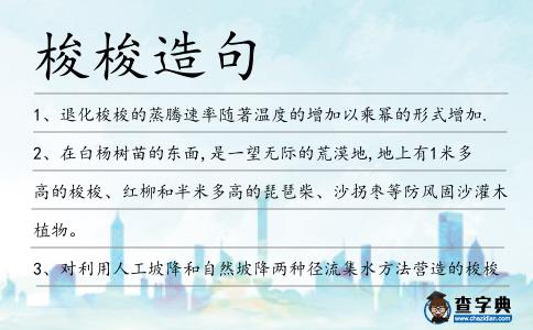 梭梭造句