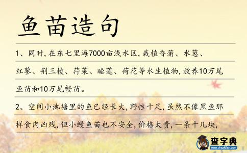 魚苗造句