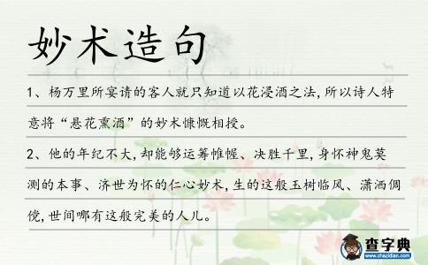 妙術造句