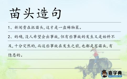 苗頭造句
