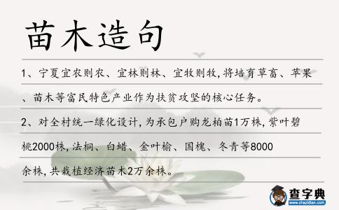 苗木造句