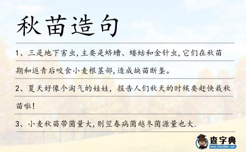 秋苗造句