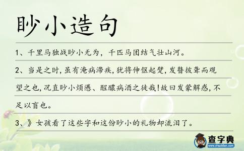 眇小造句