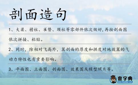 剖面造句
