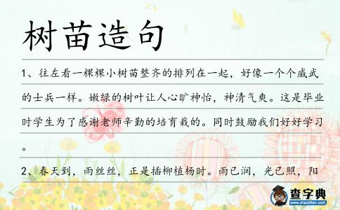 樹苗造句