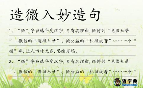 造微入妙造句