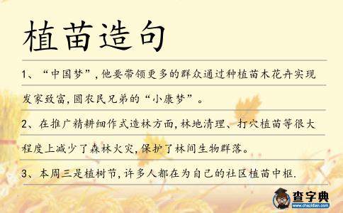 植苗造句