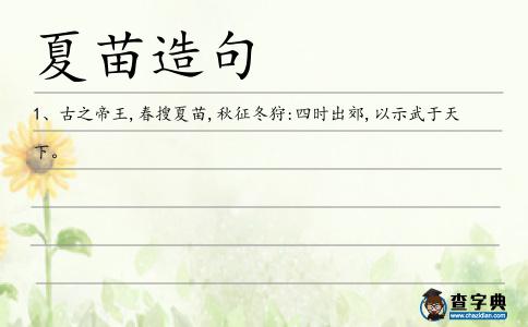 夏苗造句
