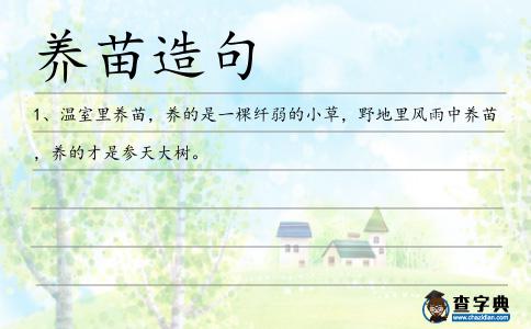 養(yǎng)苗造句