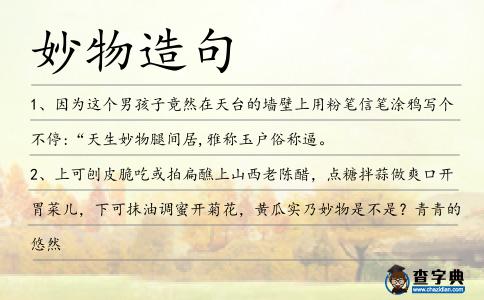 妙物造句