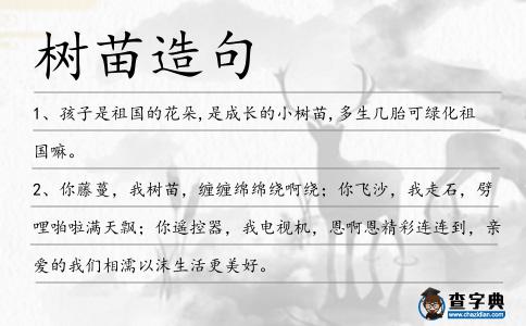 樹苗造句