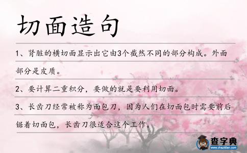 切面造句
