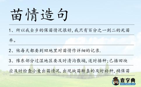 苗情造句