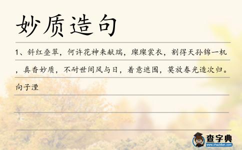 妙質(zhì)造句