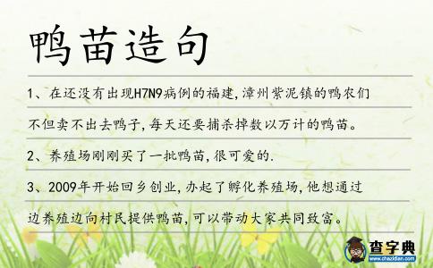 鴨苗造句