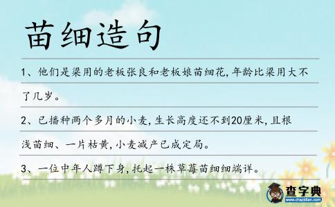 苗細(xì)造句