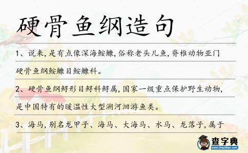 硬骨魚綱造句