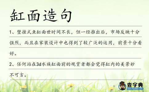 缸面造句