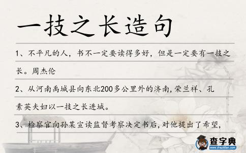 一技之長造句