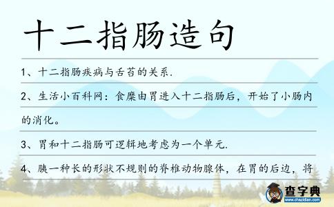 十二指腸造句