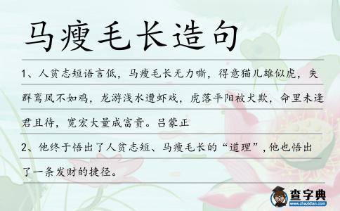 馬瘦毛長造句