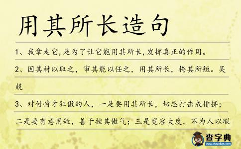 用其所長造句