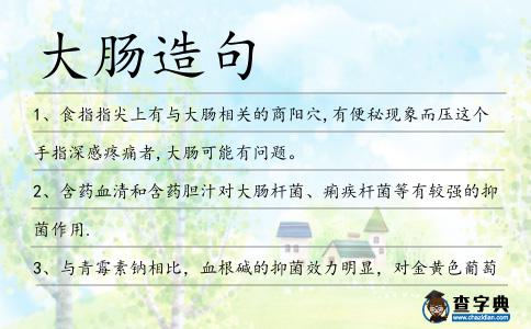 大腸造句
