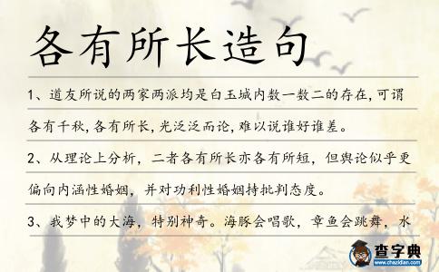 各有所長造句