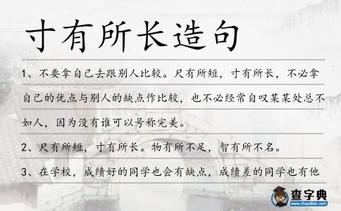 寸有所長造句