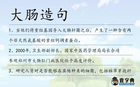 大腸造句