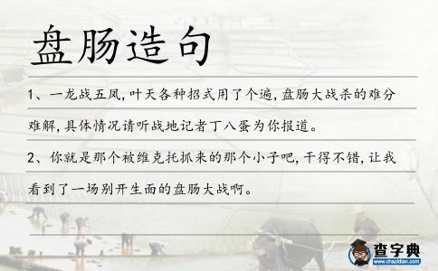 盤腸造句